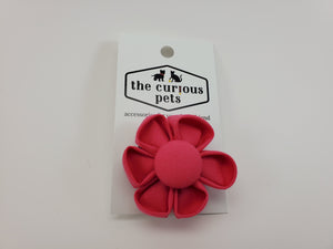 The Curious Pets Bright Pink Solid Flower Bow