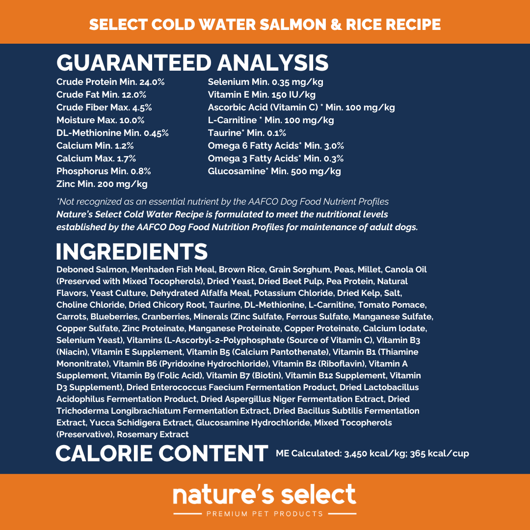 Cold Water - Salmon & Rice Recipe