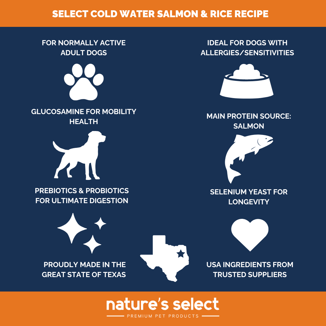 Cold Water - Salmon & Rice Recipe