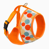 Dog Harness — Dancing Dots