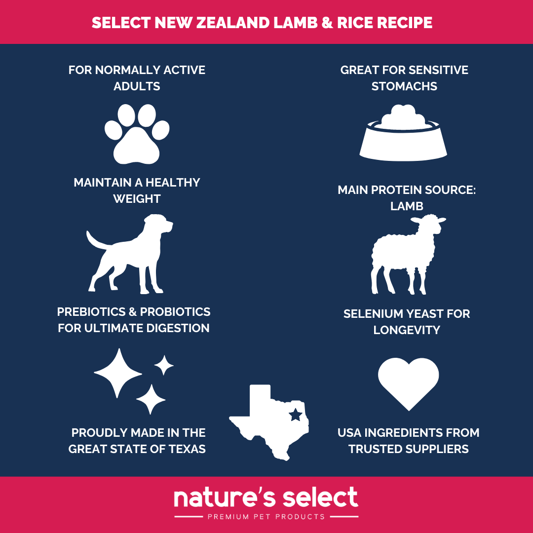 New Zealand - Lamb & Rice Recipe