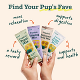 Woof Pupsicle Treat Mix Sample Pack Lickable Dog Treats