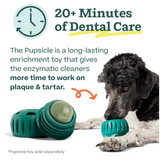 Woof Pupsicle Mix Doggy Dental Lickable Dog Treats