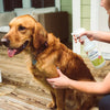 Flea & Tick Spray for Pets + Home with Natural Essential Oils 16oz