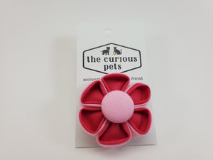 The Curious Pets Light Pink/Bright Pink Duo Flower Bow