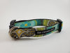 The Curious Pets Multicolor Quatrefoil Dog Collar