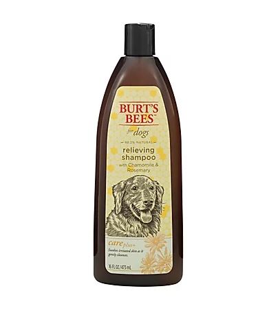 burt's bees dog products