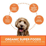 Dog Mamma's Organic Sweet Potato & Kale Bites USDA Organic Certified Crunchy Dog Treat
