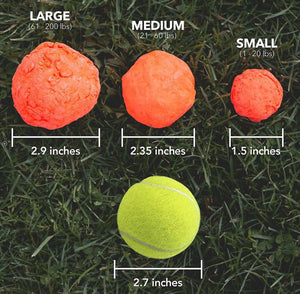 WUNDERBALL Fetch Dog Toy, Color Varies
